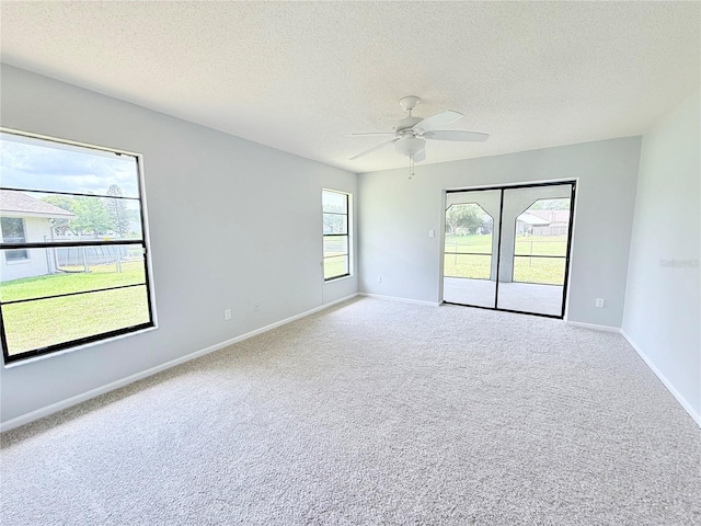 4001 Misty Morning Pl, Casselberry, FL 32707 - photo 12