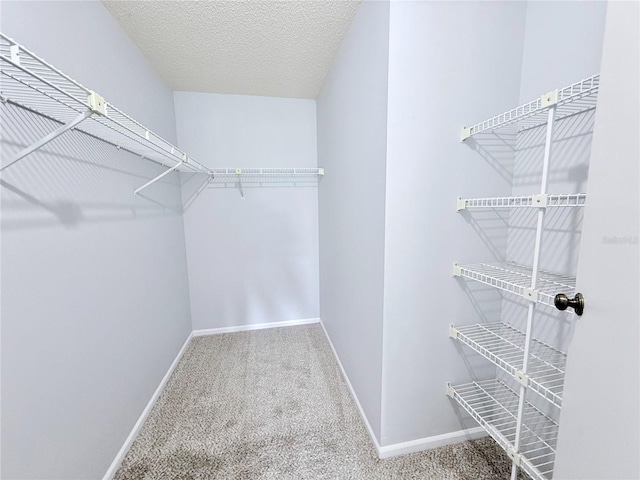 4001 Misty Morning Pl, Casselberry, FL 32707 - photo 18