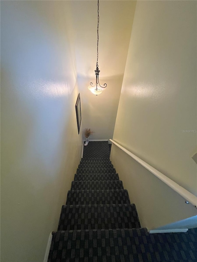 staircase with carpet floors