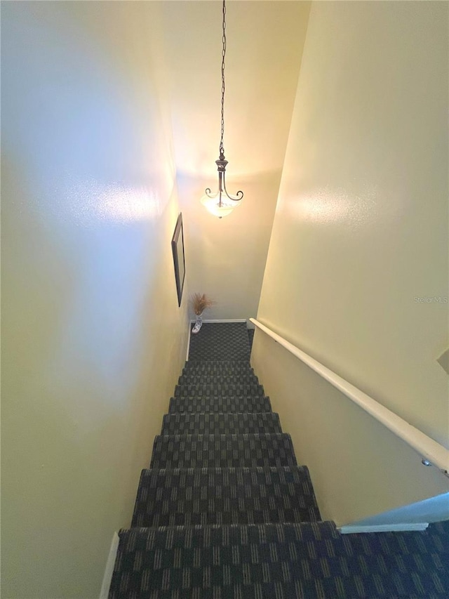 stairway featuring carpet