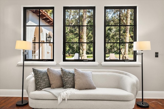 sitting room with hardwood / wood-style flooring and a wealth of natural light