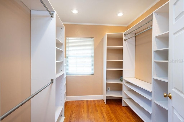 walk in closet with light wood-type flooring