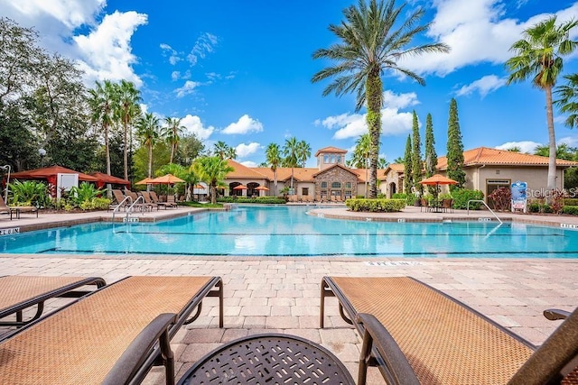 view of pool with a patio