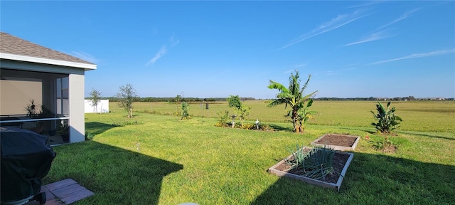 view of yard with a rural view