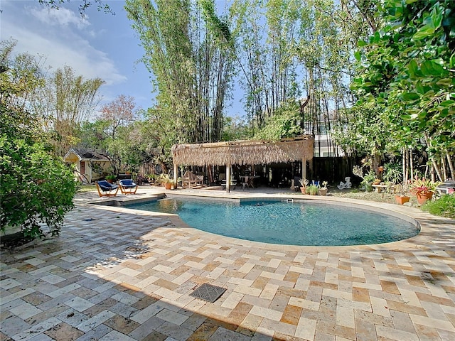 view of pool with a patio