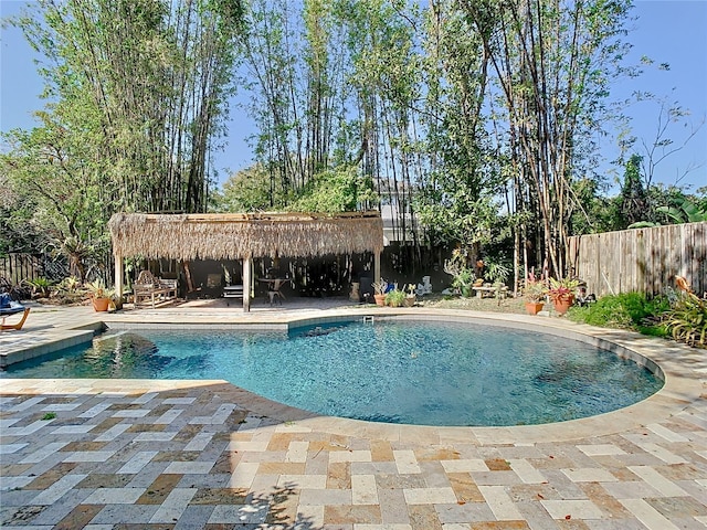 view of swimming pool featuring a patio area