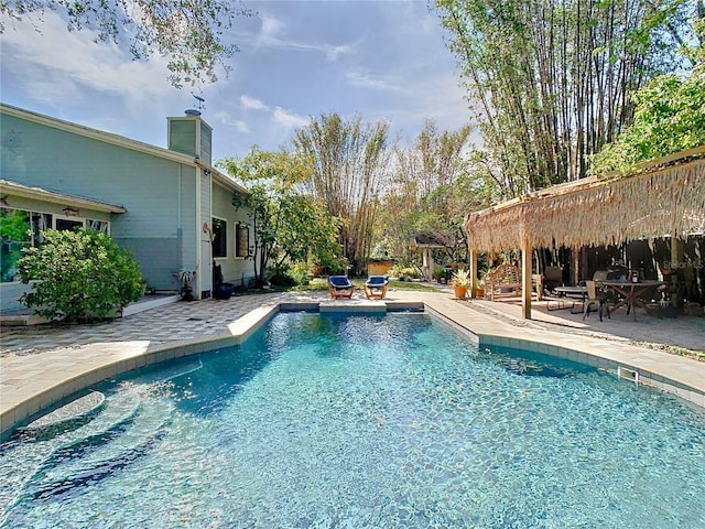 view of pool featuring a patio area