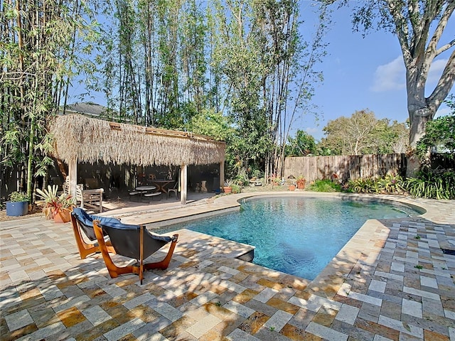 view of swimming pool with a patio