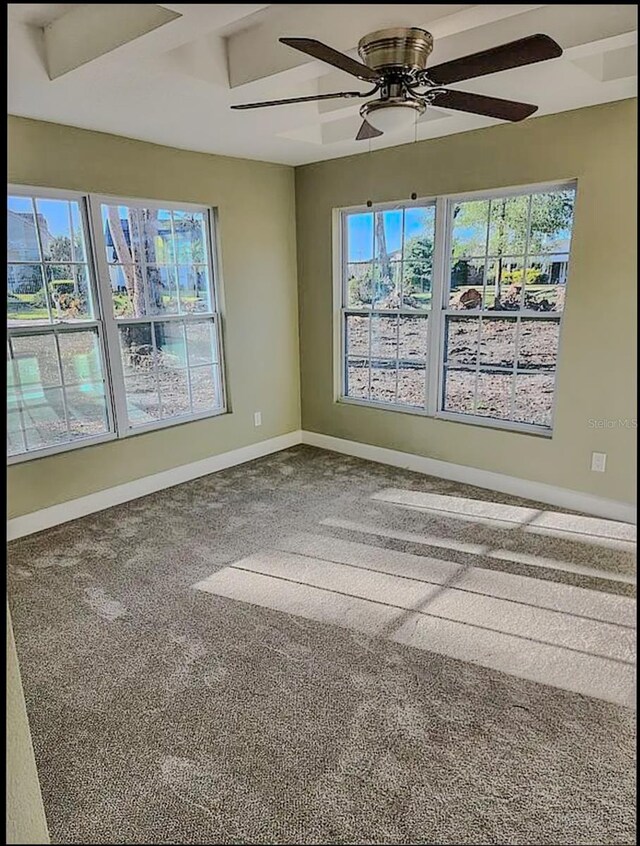 219 Nob Hill Cir, Longwood, FL 32779 - spare room with plenty of natural light, ceiling fan, carpet floors, and baseboards