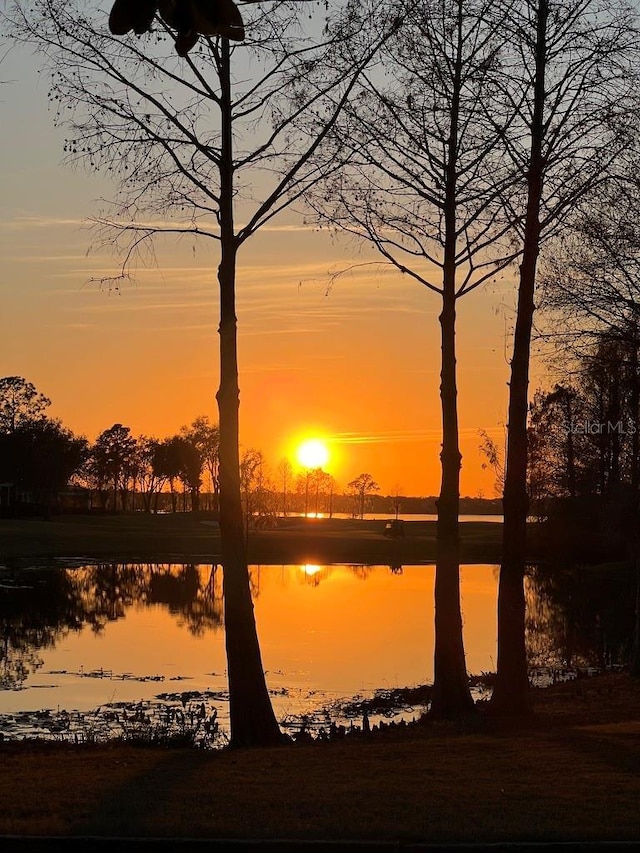 property view of water