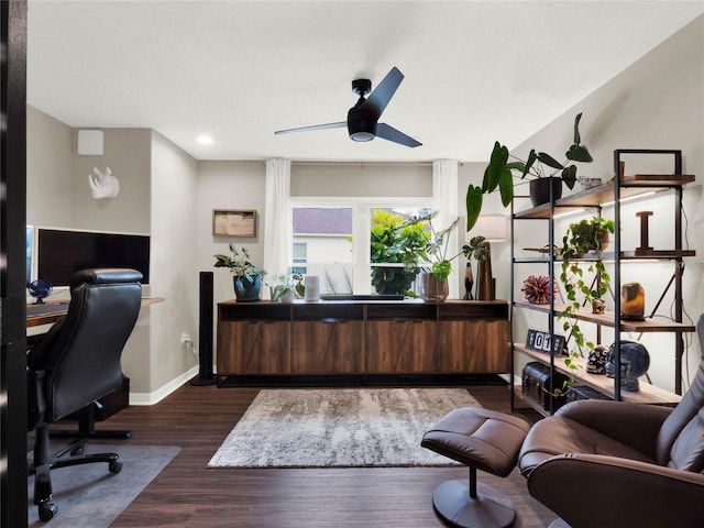 office area with ceiling fan and dark hardwood / wood-style floors