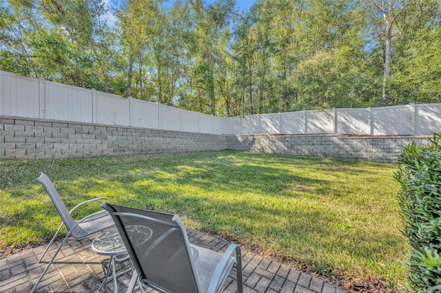 view of yard featuring a patio area