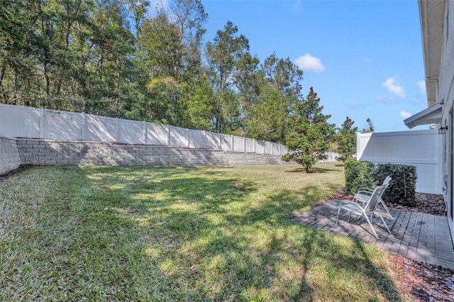 view of yard with a patio area