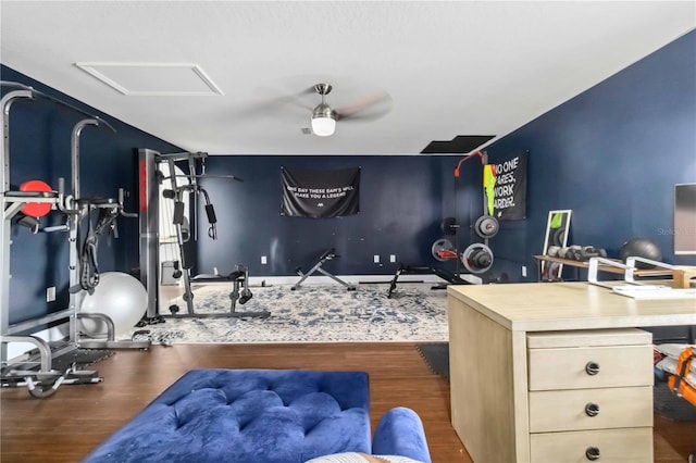 workout room with hardwood / wood-style floors and ceiling fan