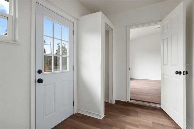 entryway with wood-type flooring