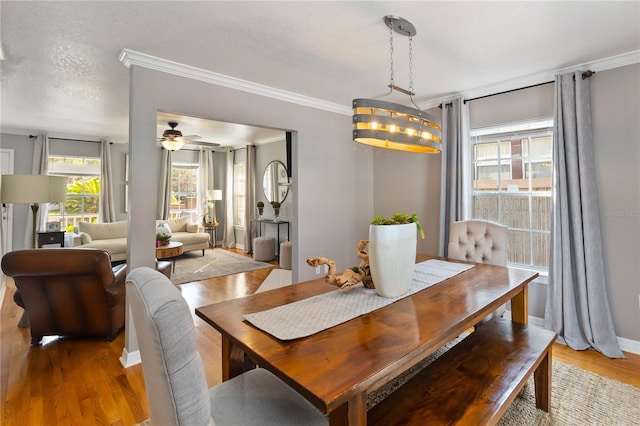 dining area with ceiling fan, crown molding, a textured ceiling, and light wood-type flooring