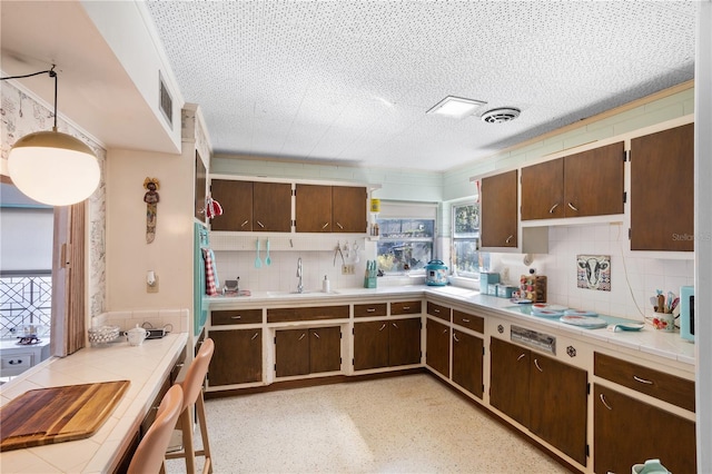 814 S Lakeshore Blvd, Lake Wales, FL 33853 - kitchen with dark brown cabinets, sink, a textured ceiling, and decorative backsplash