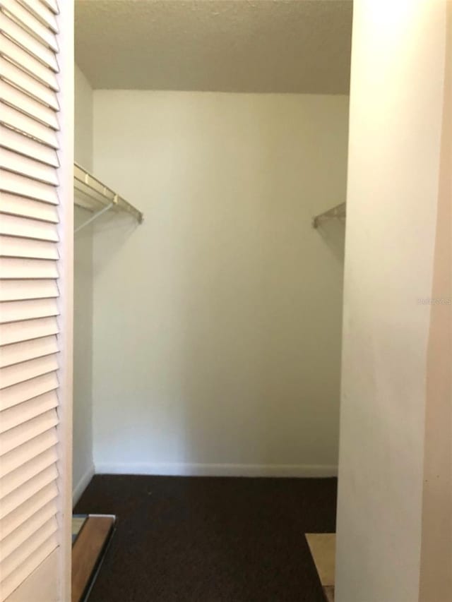 spacious closet with dark colored carpet