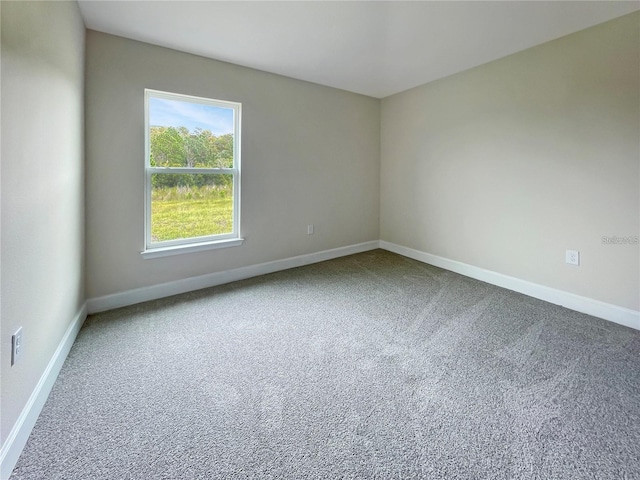 unfurnished room featuring carpet