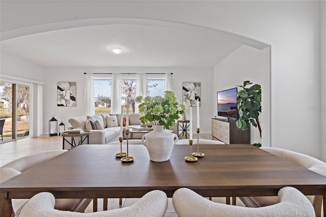 dining area with plenty of natural light