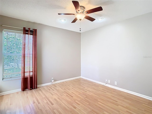 4215 Edgewood Dr, Holiday, FL 34691 - photo 32