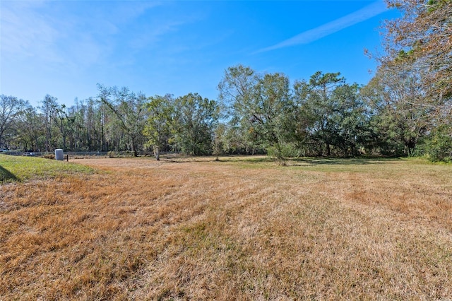 view of yard featuring a rural view