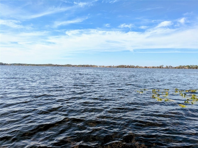 view of water feature