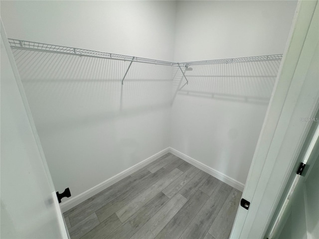 walk in closet featuring light wood-type flooring