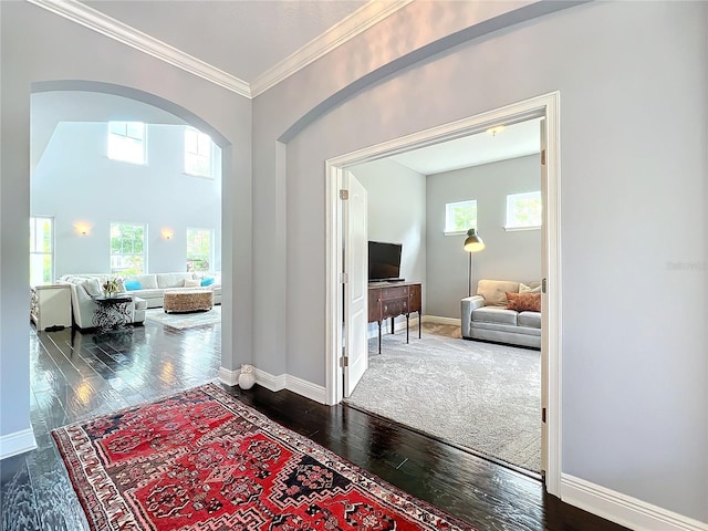 hallway with hardwood / wood-style floors and crown molding