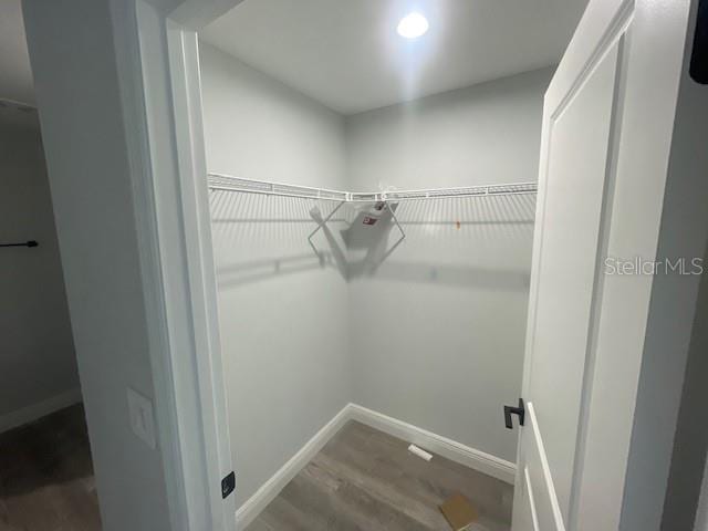 spacious closet featuring hardwood / wood-style floors