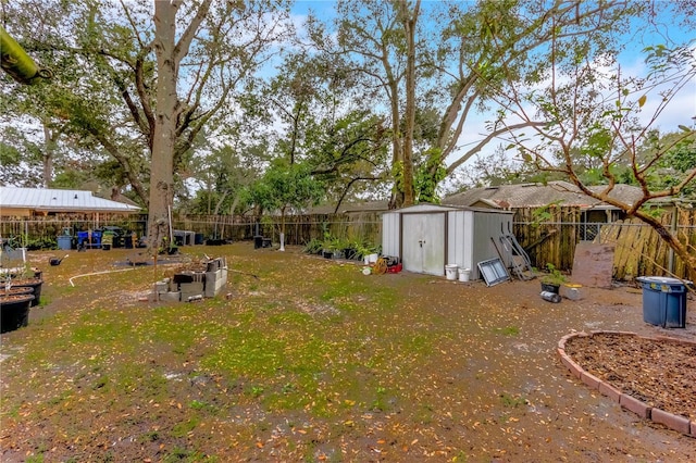 view of yard featuring a shed