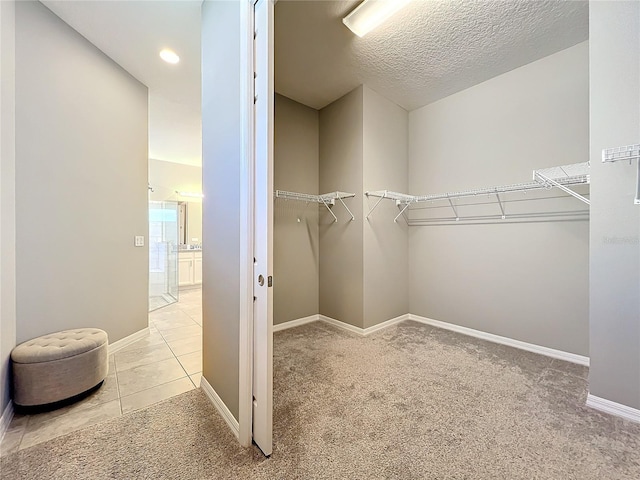 spacious closet featuring light carpet