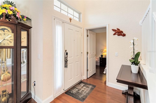 entrance foyer with dark hardwood / wood-style flooring