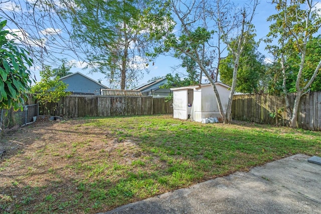 view of yard featuring a shed