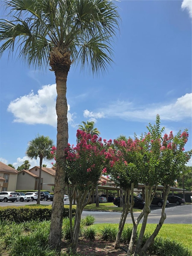 4826 Marks Ter Unit 389, Orlando, FL 32811 - exterior space with covered and uncovered parking