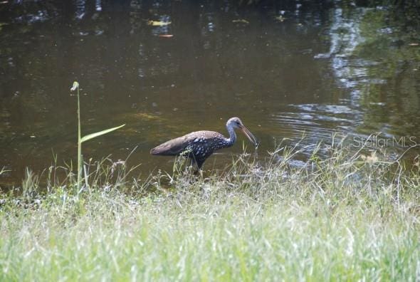4826 Marks Ter Unit 389, Orlando, FL 32811 - photo 41