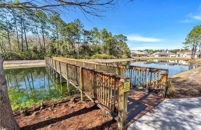 dock area with a water view