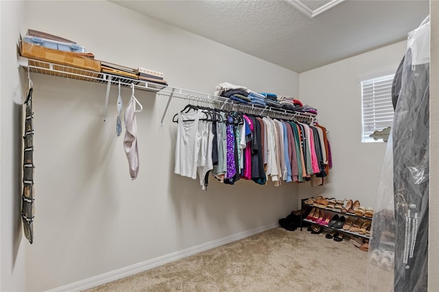 spacious closet featuring carpet