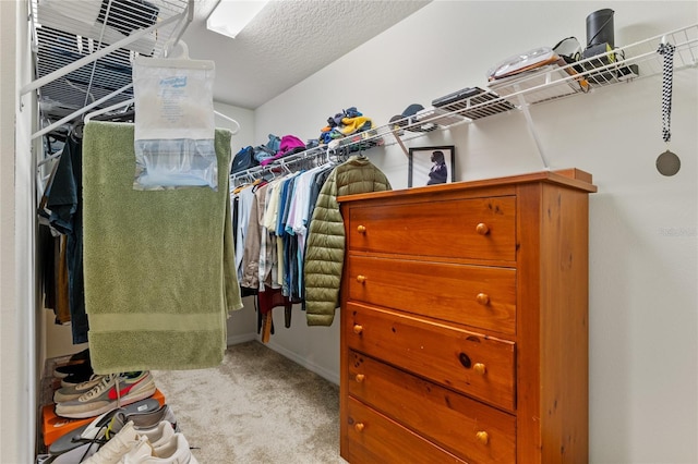 walk in closet with light carpet