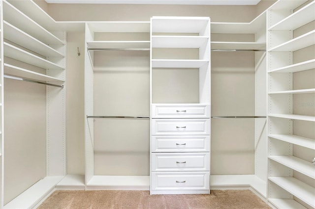 spacious closet featuring light colored carpet