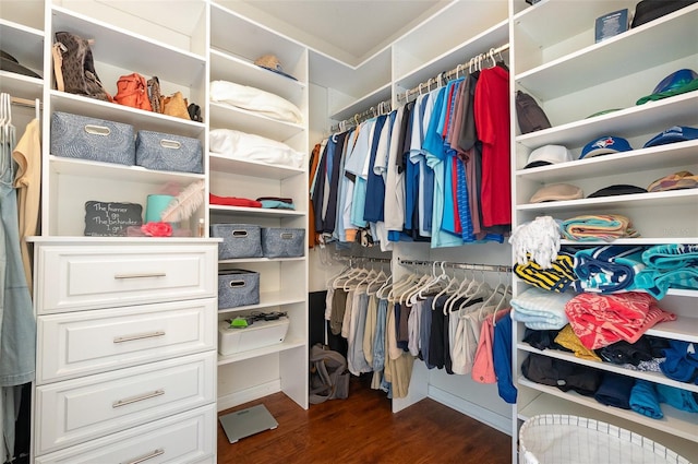 walk in closet featuring dark wood-type flooring