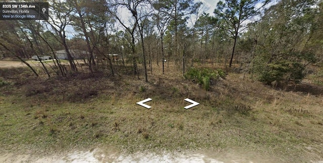 Listing photo 3 for 9965 SW 129th Terrace Rd, Dunnellon FL 34432