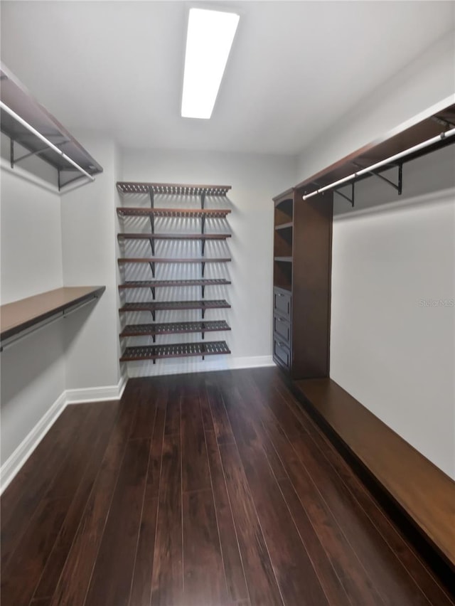 spacious closet with dark hardwood / wood-style flooring