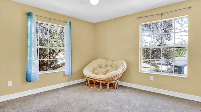 living area with ceiling fan and carpet