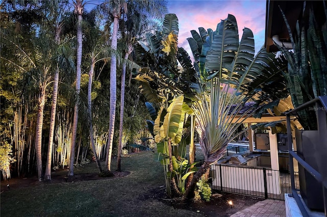 view of yard at dusk