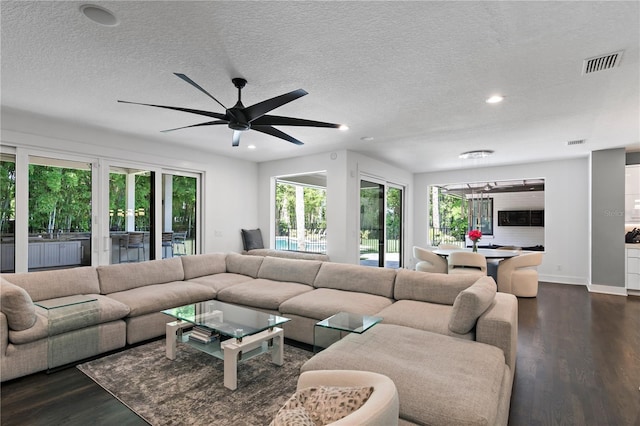 living room with dark wood-type flooring and a textured ceiling