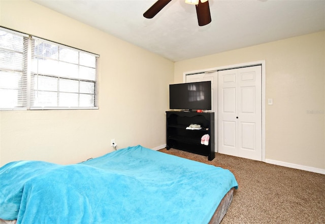 bedroom featuring ceiling fan, a closet, and carpet