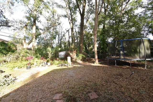 view of yard with a trampoline