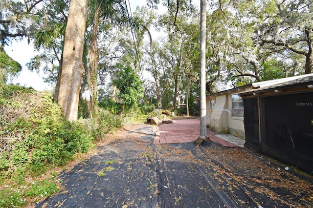 view of yard with a patio area