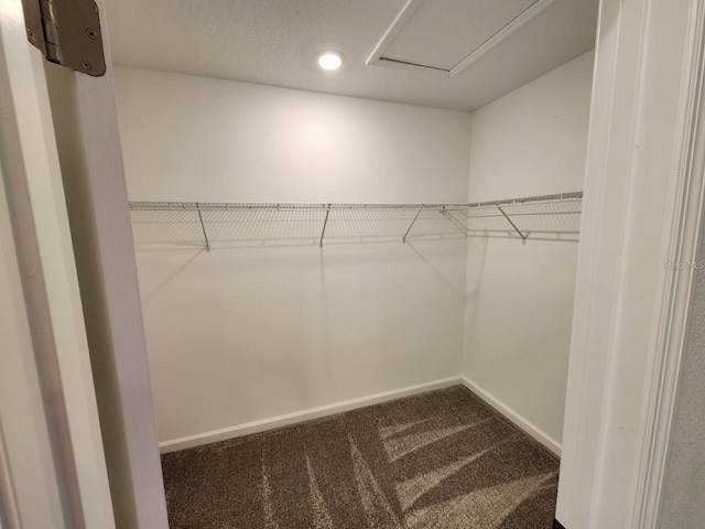 walk in closet featuring carpet flooring